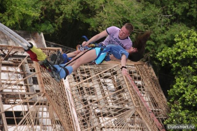 22742_bungy3.jpg